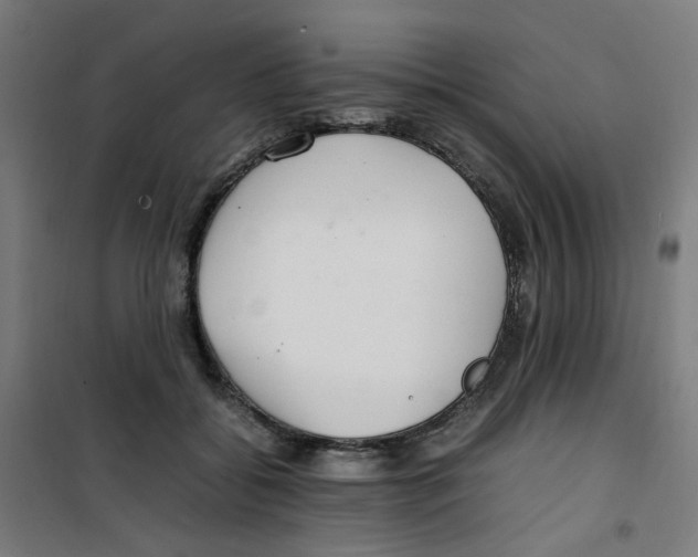 X0000100340556200807031301