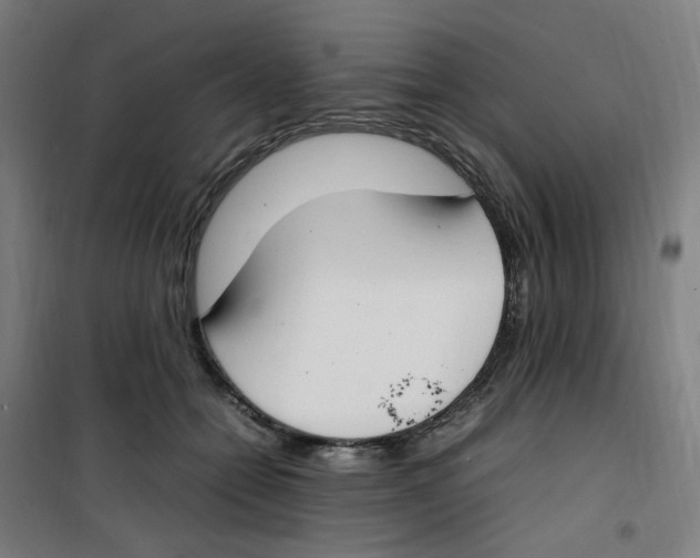 X0000100340558200807031301