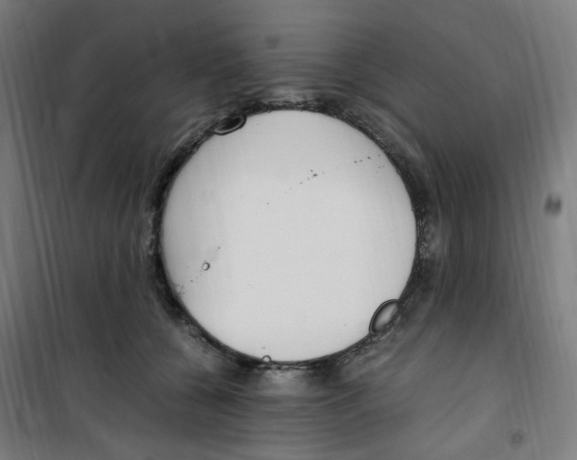 X0000100340560200807031301