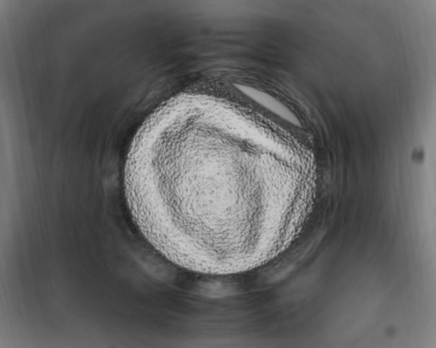 X0000100340561200807031301