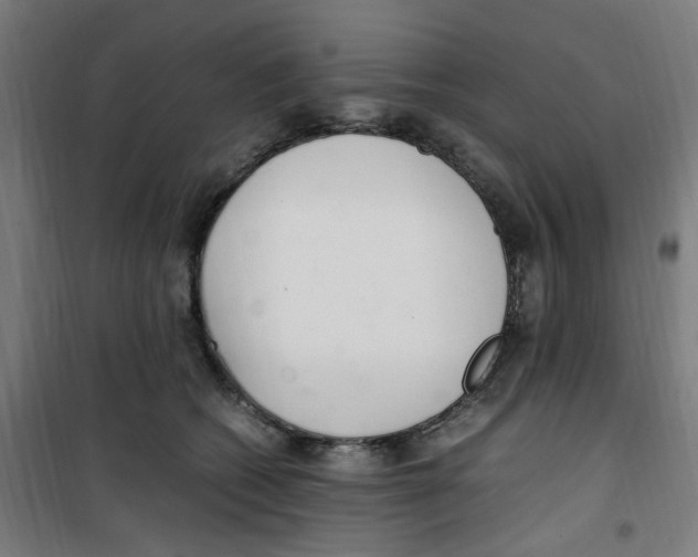 X0000100340562200807031301