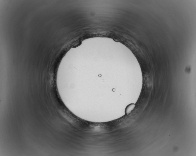 X0000100340564200807031301