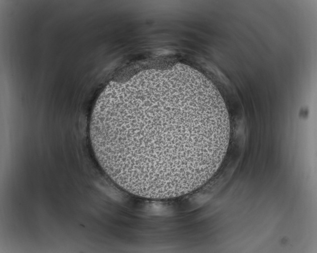 X0000100340565200807031301