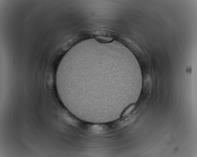 X0000100340566200807031301