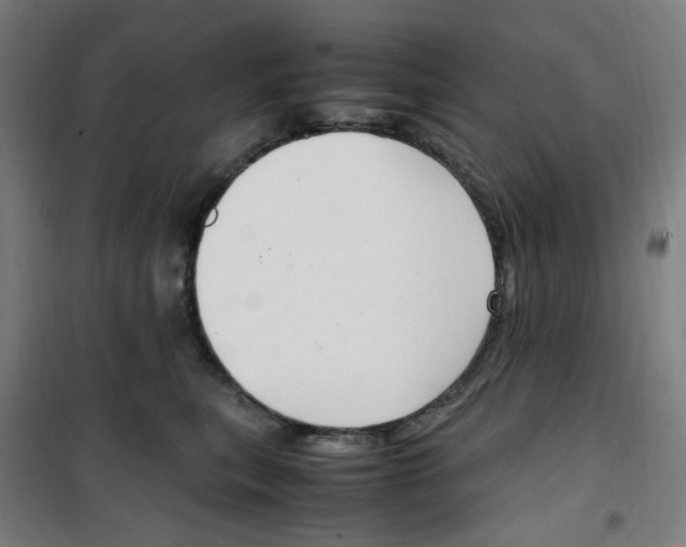 X0000100340567200807031301