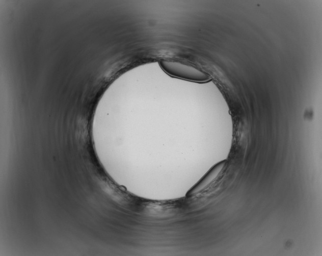 X0000100340568200807031301