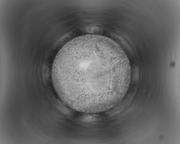 X0000100340569200807031301