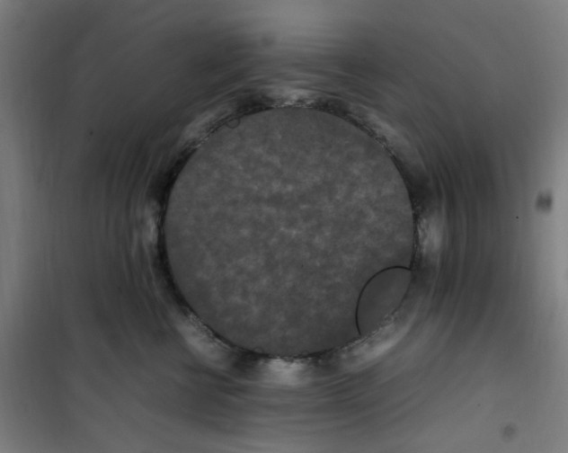 X0000100340570200807031301