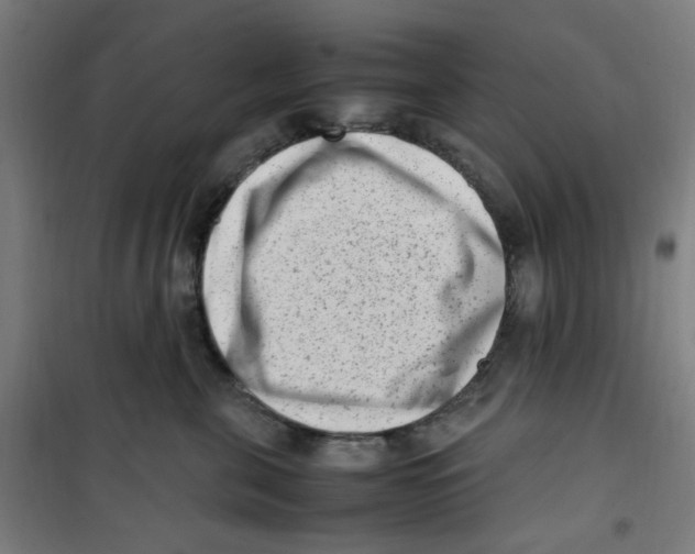 X0000100340571200807031301