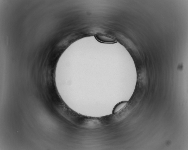 X0000100340572200807031301