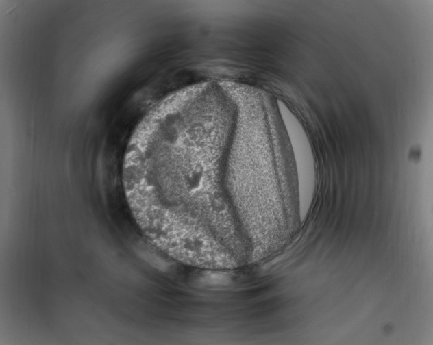 X0000100340573200807031301