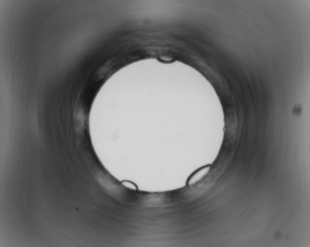 X0000100340574200807031301