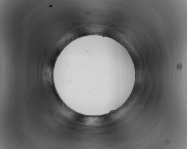 X0000100340575200807031301