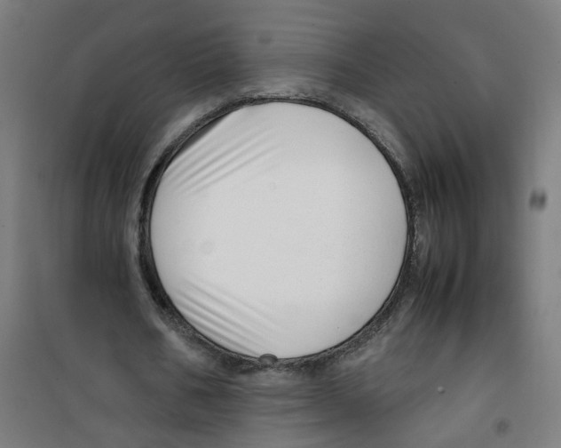 X0000100340578200807031300