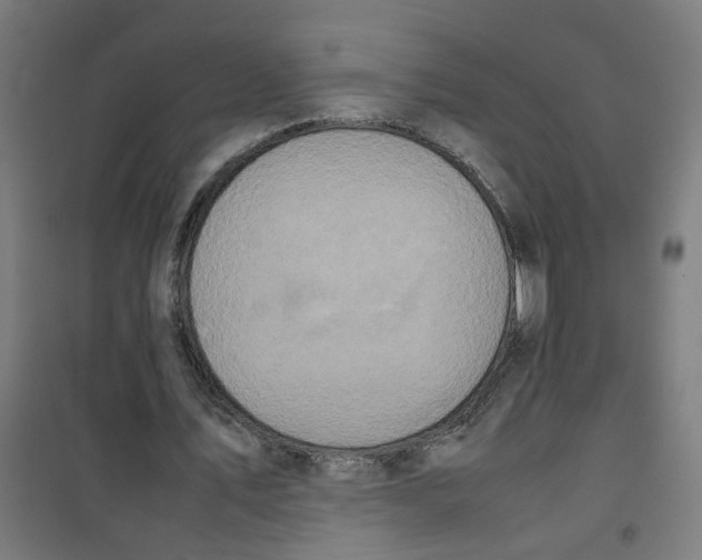 X0000100340579200807031300