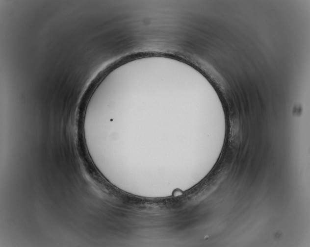 X0000100340580200807031300