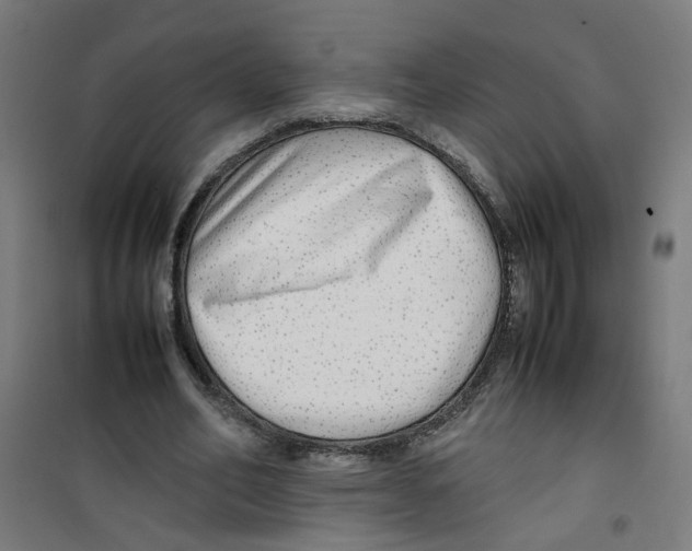 X0000100340582200807031300