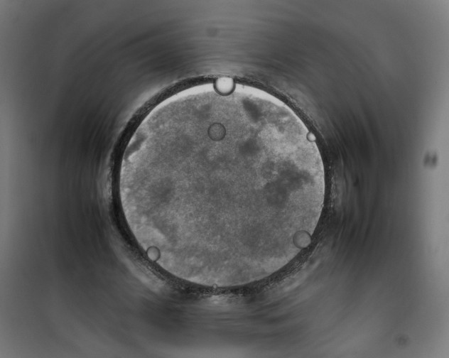 X0000100340584200807031300