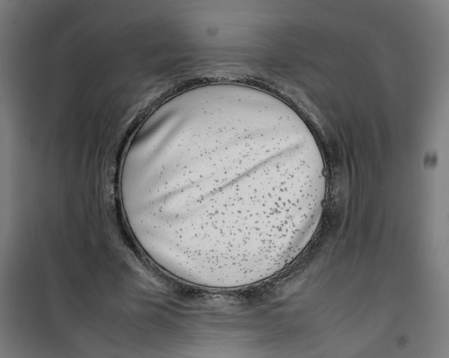 X0000100340585200807031300