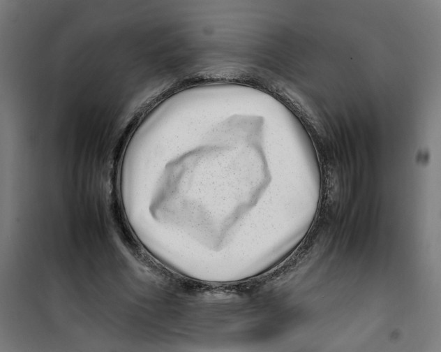 X0000100340586200807031300