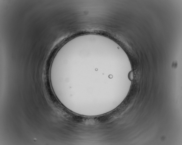 X0000100340587200807031300