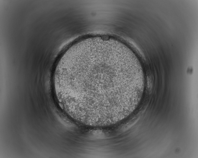 X0000100340588200807031300