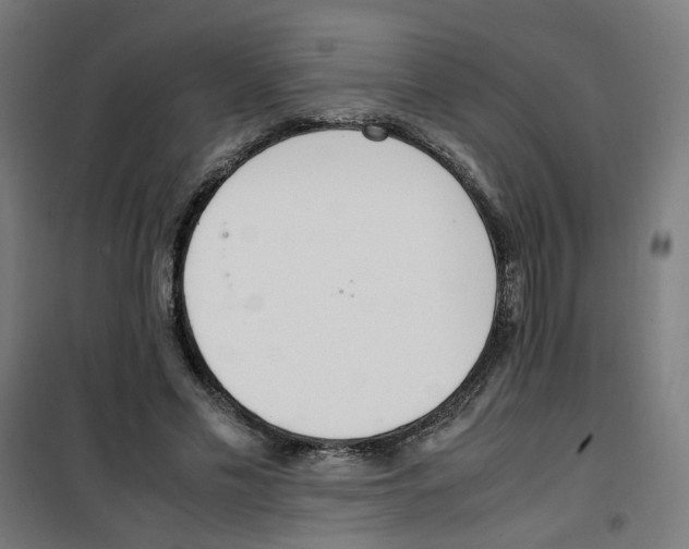 X0000100340589200807031300