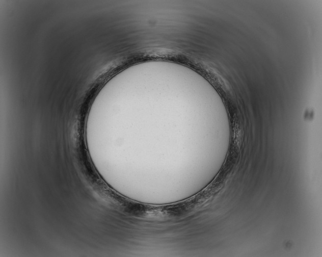 X0000100340591200807031300