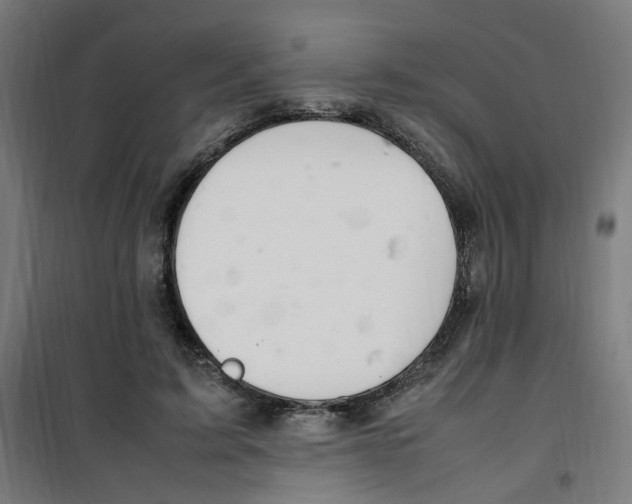 X0000100340595200807031300