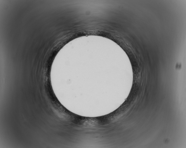 X0000100340599200807031300