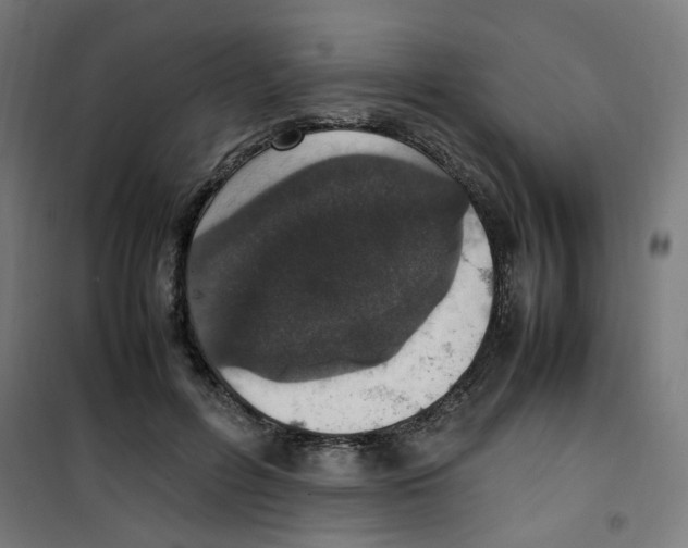 X0000100340600200807031300