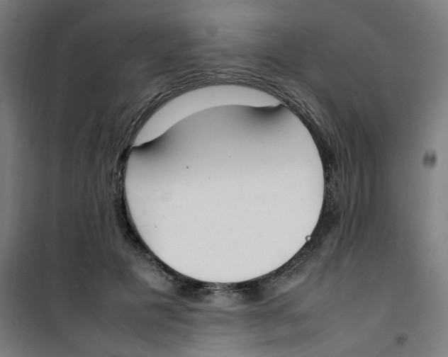 X0000100340601200807031300