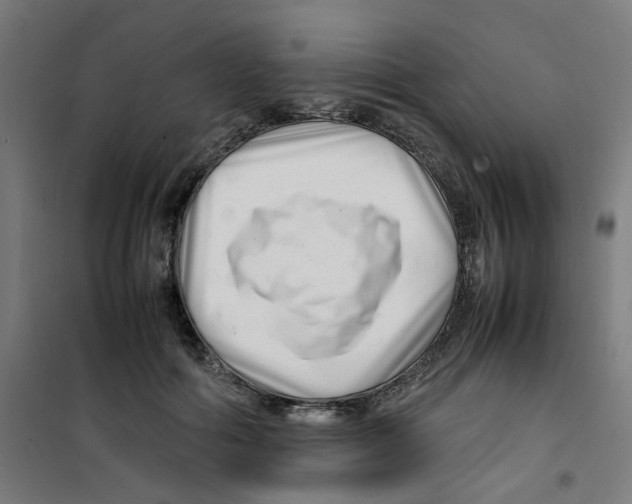 X0000100340602200807031300