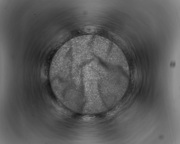 X0000100340606200807031300