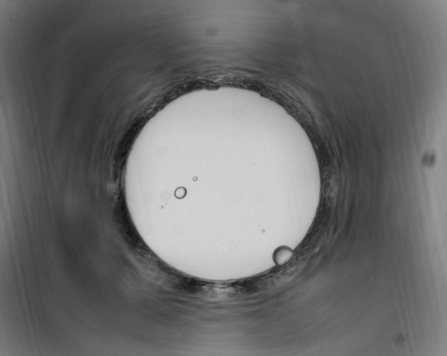 X0000100340607200807031300