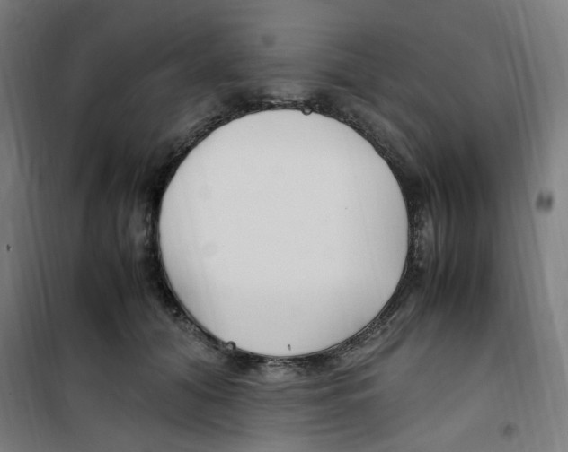 X0000100340608200807031300