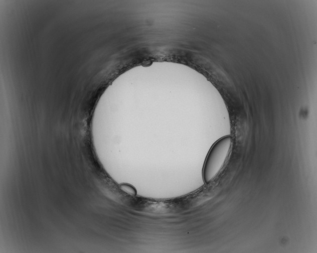 X0000100340611200807031300