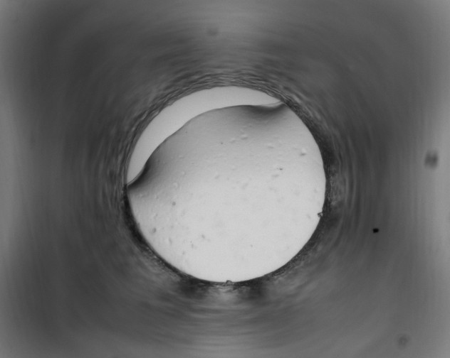 X0000100340613200807031300