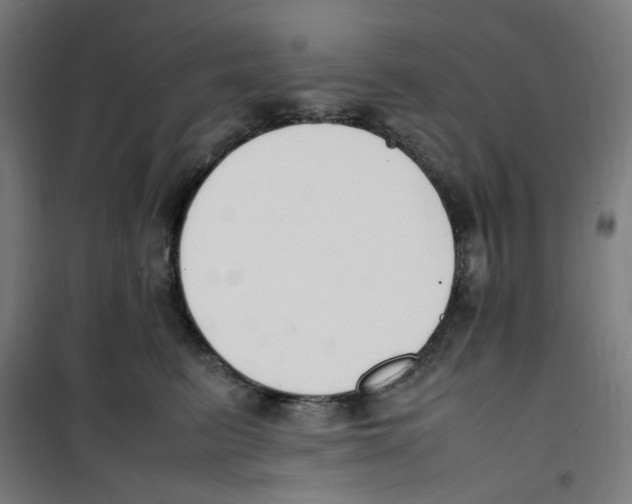 X0000100340615200807031300