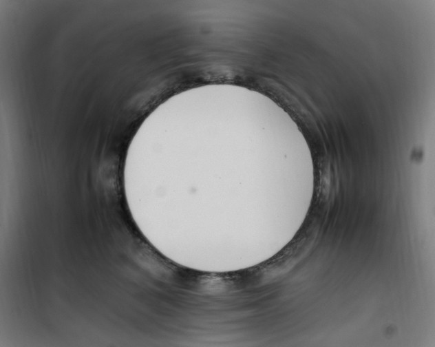 X0000100340616200807031300