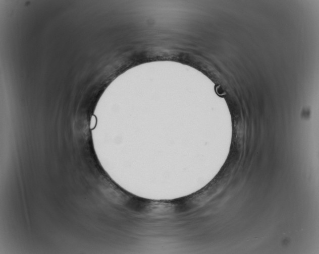 X0000100340617200807031300