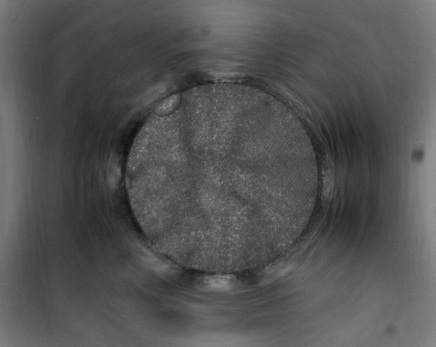 X0000100340618200807031300