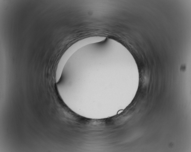 X0000100340619200807031300