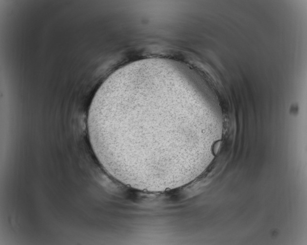 X0000100340621200807031300