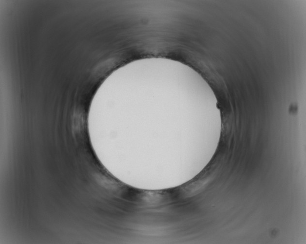 X0000100340623200807031300