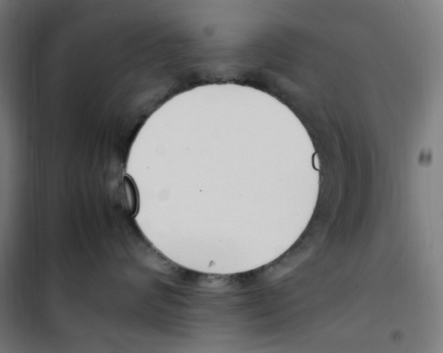 X0000100340624200807031300