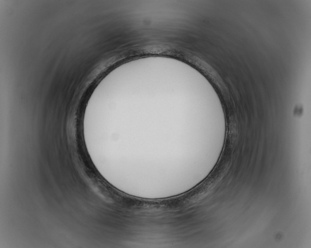 X0000100340626200807031259