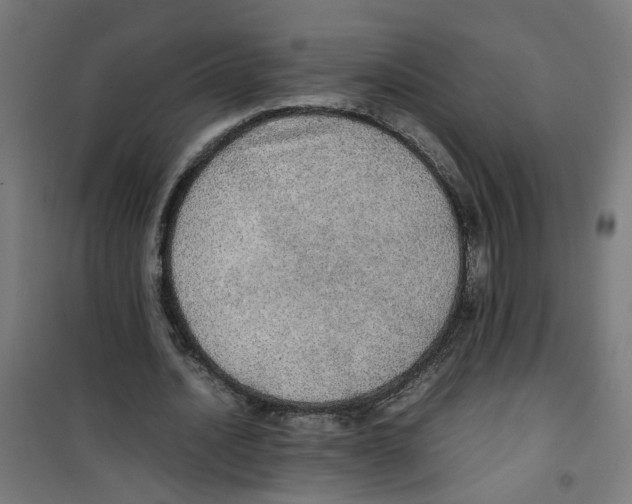 X0000100340628200807031259