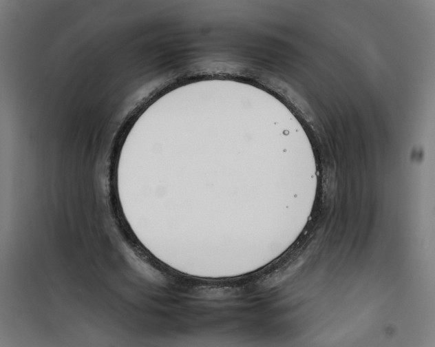 X0000100340629200807031259