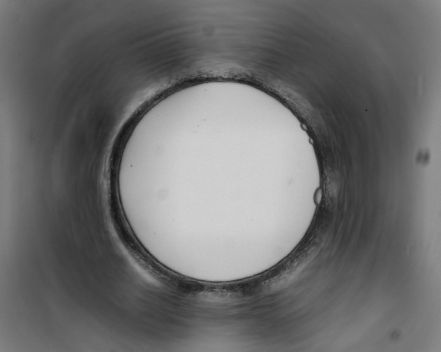 X0000100340630200807031259